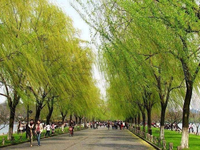 益生菌的作用及功能_益生菌是什么-广东新日生物科技有限公司