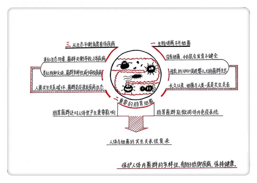 微信图片_20181017143727.jpg